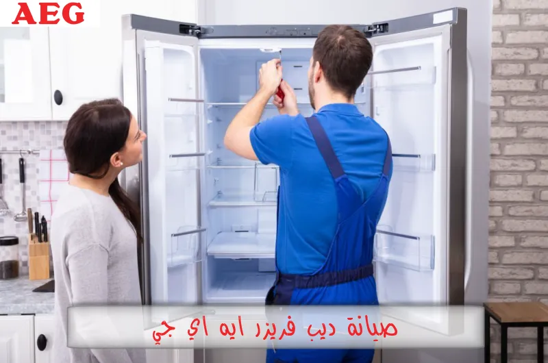 صيانة ديب فريزر ايه اي جي